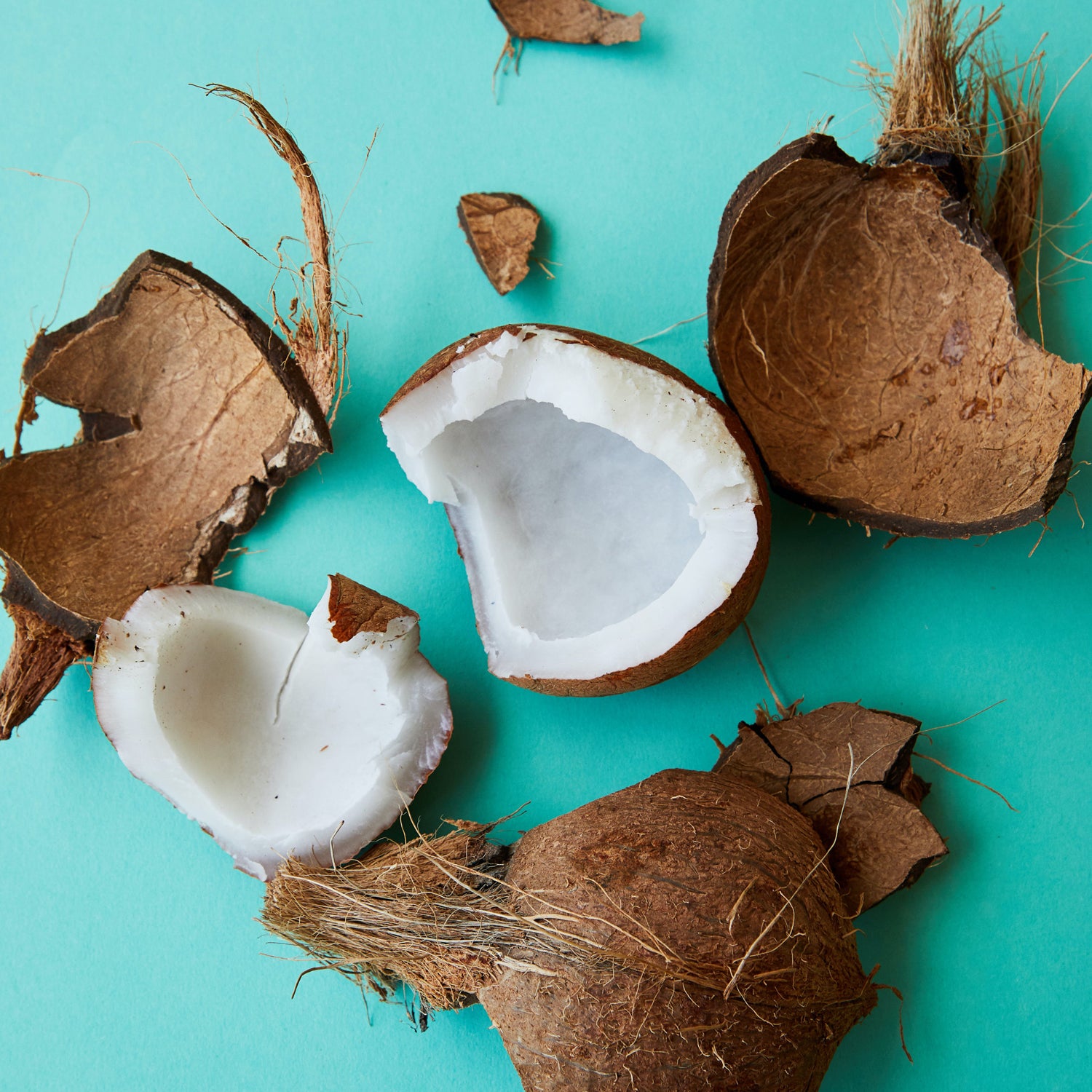 Ingrediente Olio di Cocco